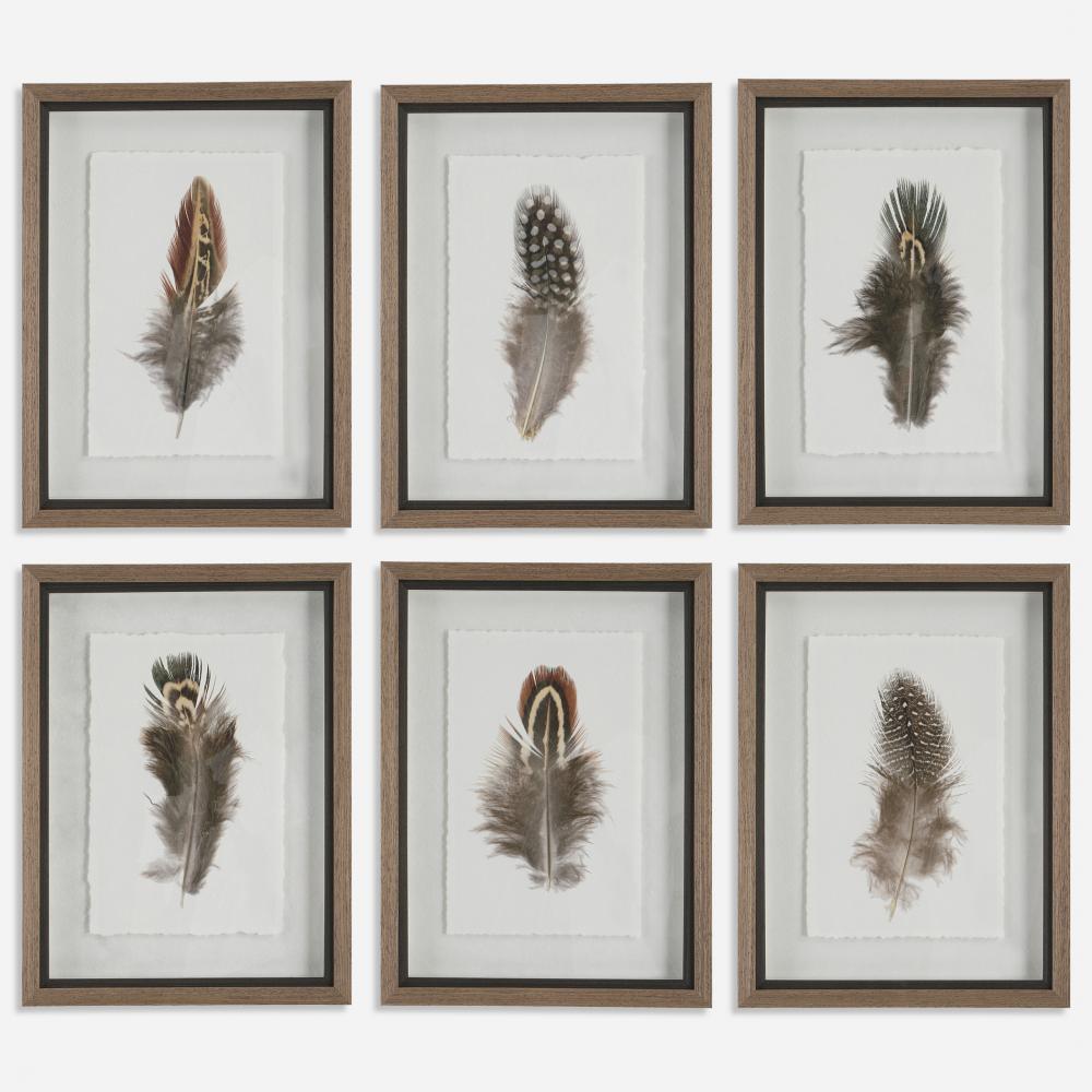Uttermost Birds of a Feather Framed Prints, S/6
