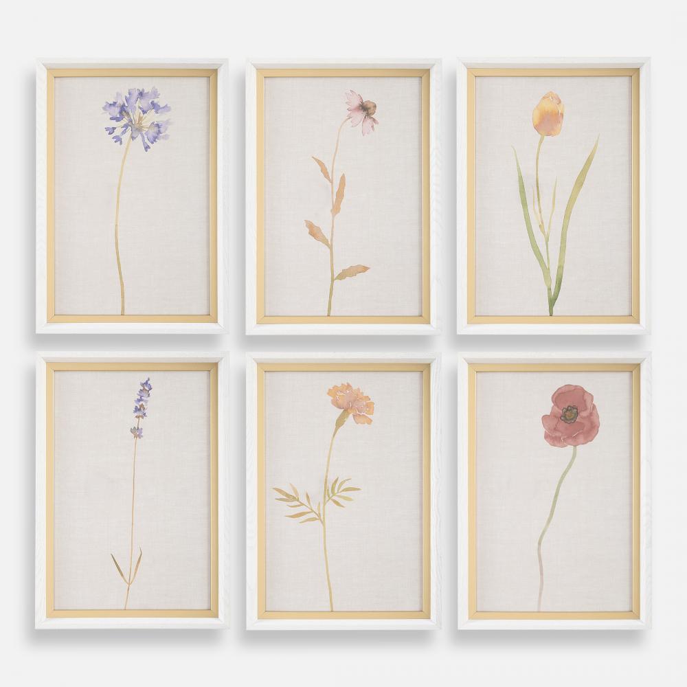 Uttermost Wild Flourish Framed Prints, S/6