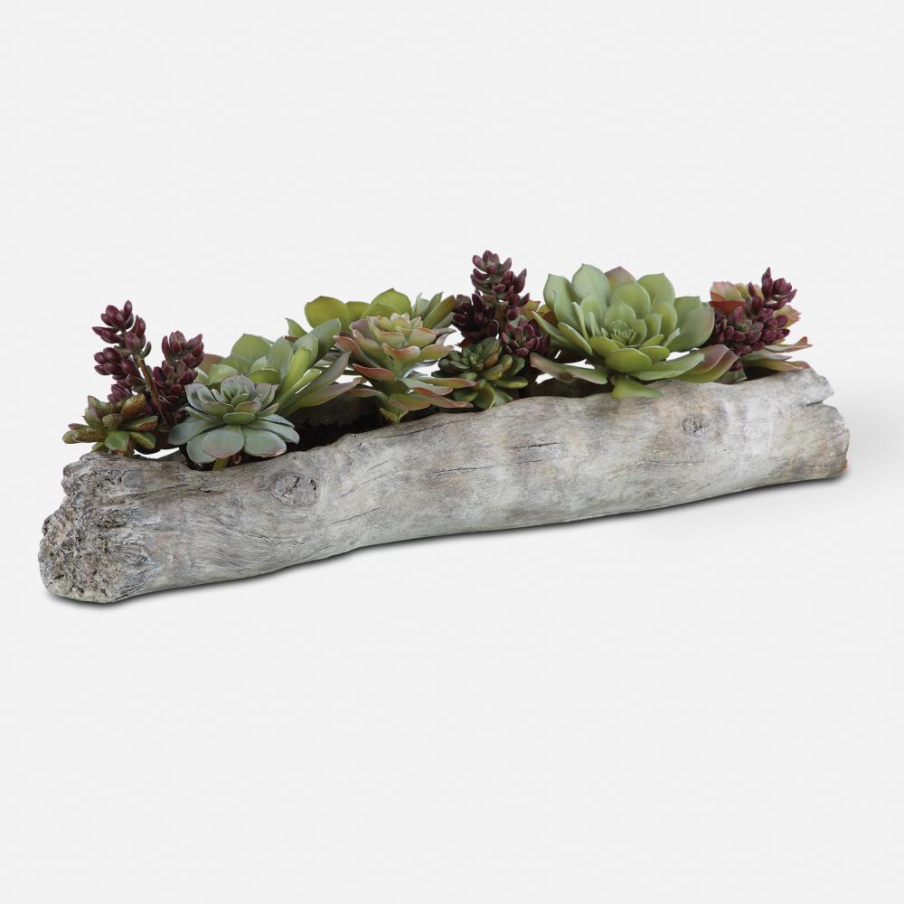 Uttermost Charita Succulents
