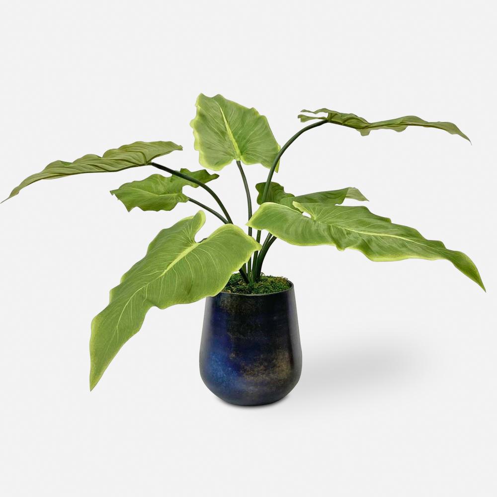 Uttermost Mari Calla Accent