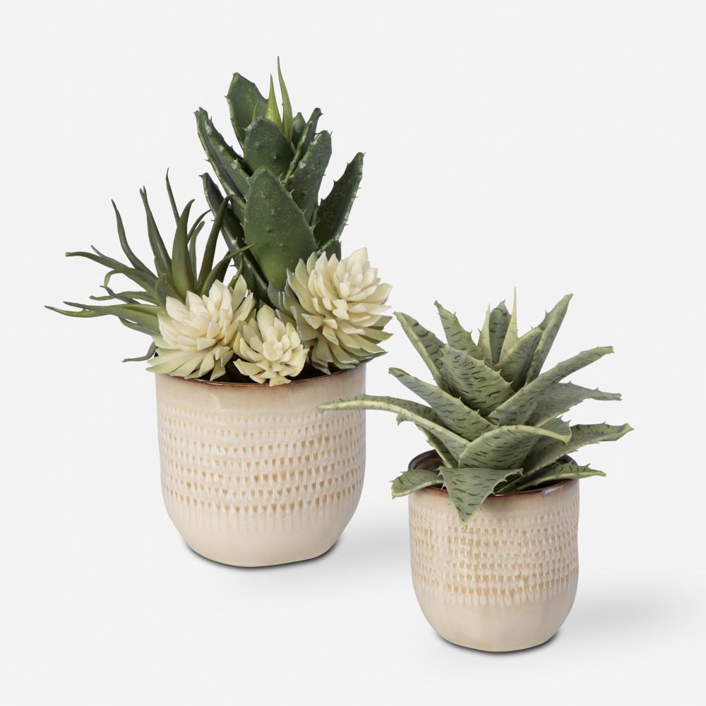 Uttermost Seaside Succulents, S/2