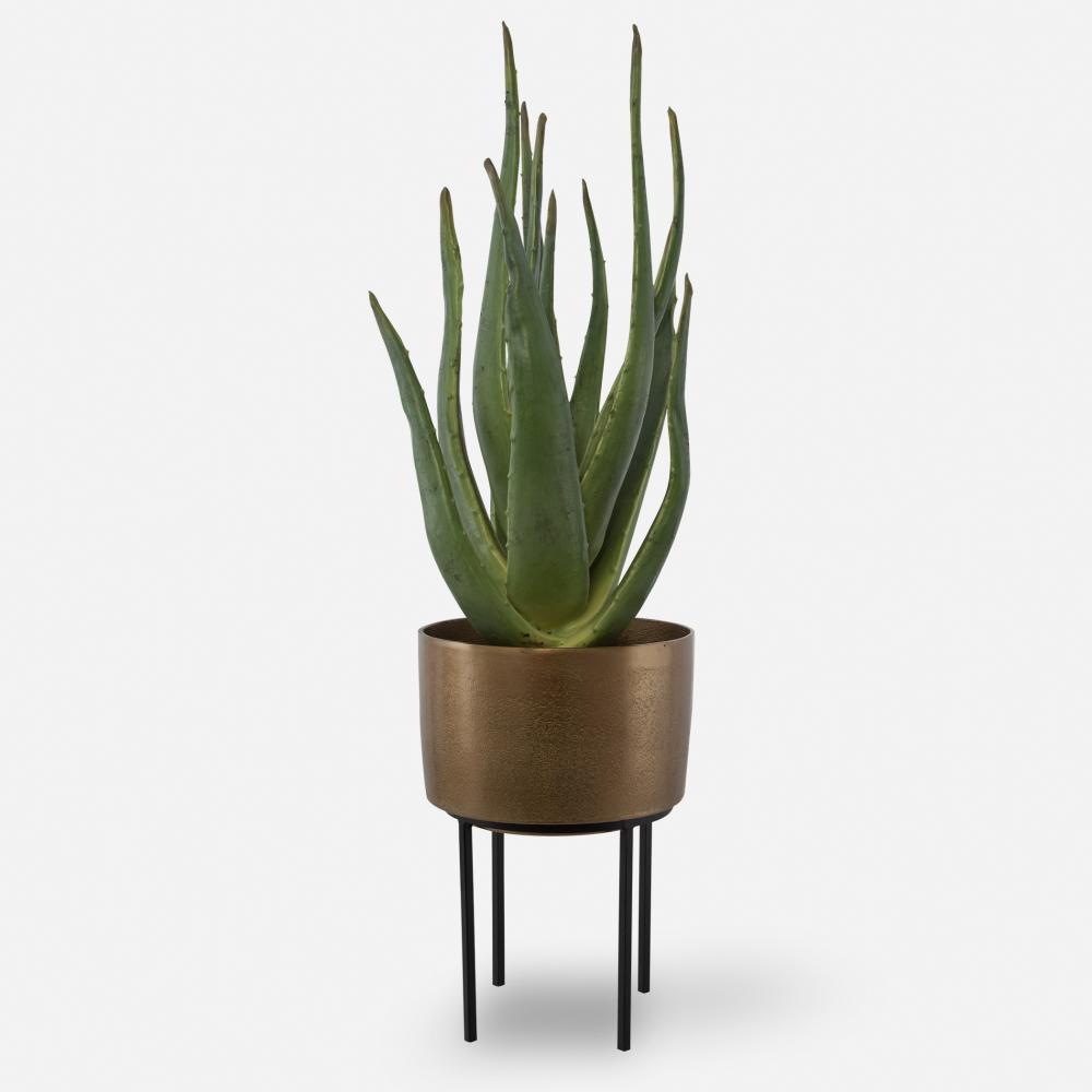 Uttermost Arabia Aloe Planter, 2 CARTONS