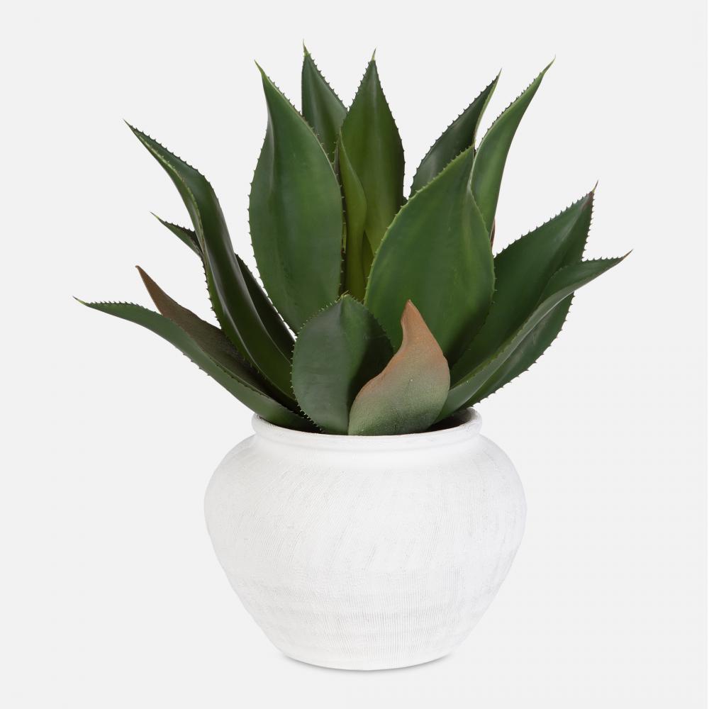 Uttermost Tierra Agave Centerpiece