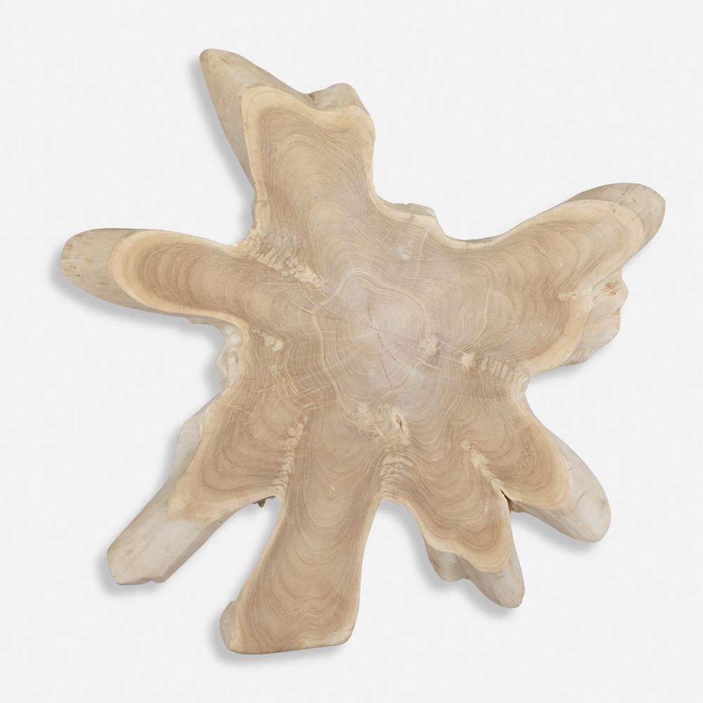 Uttermost Terrains Wood Wall Decor