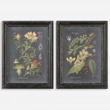 Uttermost 56053 - Uttermost Midnight Botanicals Framed Prints, S/2