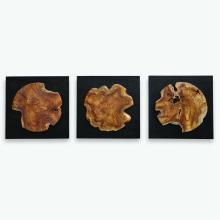 Uttermost 04336 - Uttermost Kolini Wood Wall Decor, S/3