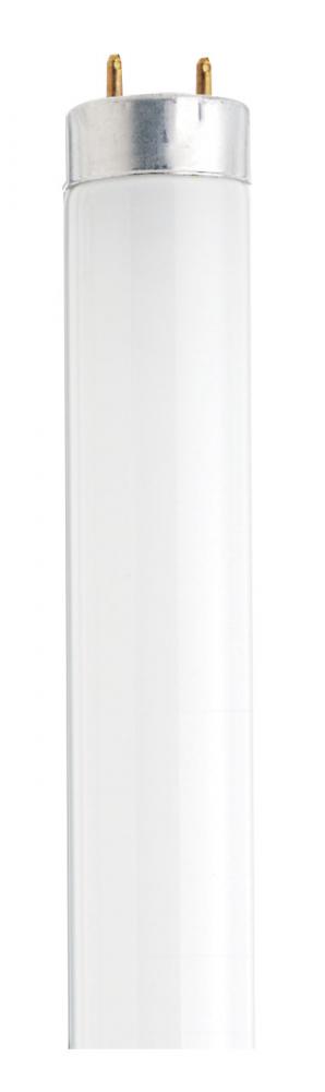 18 Watt; T8; 30 Inch Cool White Fluorescent