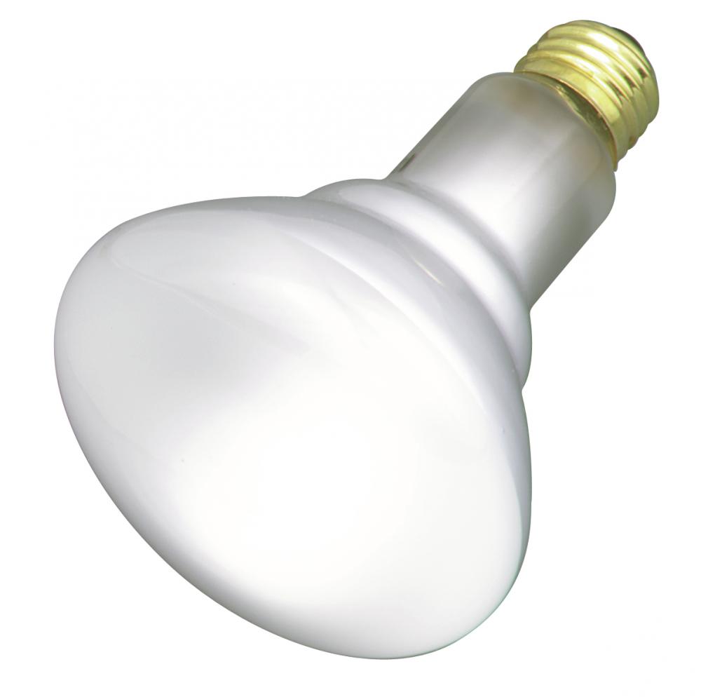 65 Watt BR25 Incandescent; Frost; 2000 Average rated hours; 600 Lumens; Medium base; 120 Volt