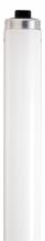 Satco Products Inc. S2937 - 45 Watt; T12; Fluorescent; 6500K Daylight; 76 CRI; Recessed Double Contact HO/VHO base