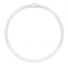 Satco Products Inc. S8163 - 55 Watt; T5; Circline Fluorescent; 4100K Cool White; 82 CRI; 2GX13 (4-Pin) base
