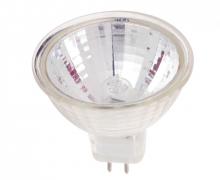 Halogen Bulbs