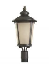 Generation Lighting 82240-780 - Cape May traditional 1-light outdoor exterior post lantern in burled iron grey finish with etched li