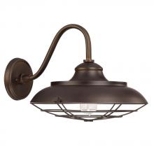 Capital 4562BB - 1 Light Outdoor Wall Lantern