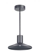 Visual Comfort & Co. Modern Collection 700OPASHH930DHUNV - Ash 12 Outdoor Pendant