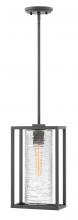 Hinkley 1252SK - Medium Hanging Lantern