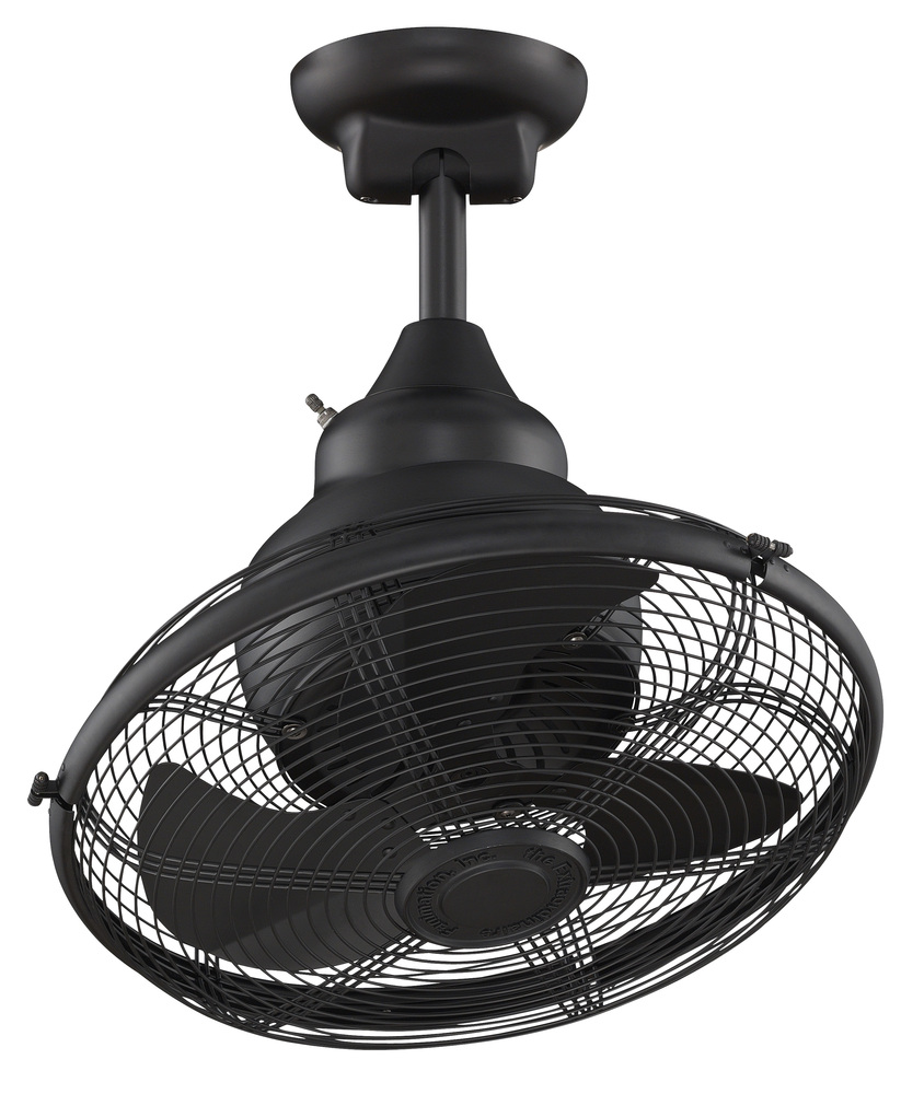 Extraordinaire - 18 inch - BL